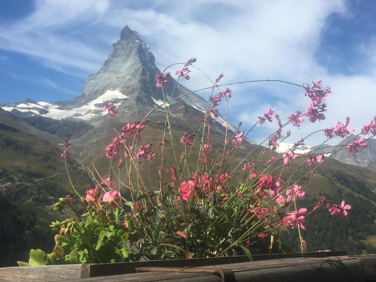 Apartment Samira Zermatt Exteriör bild